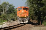 BNSF E Train 9125 West